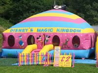 Giant Inflatable Hire