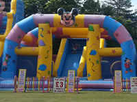 Giant Inflatable Hire